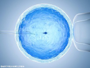 慈安中西医结合试管中心